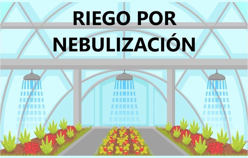 Programar riego por nebulización con LOGO Soft y control horas